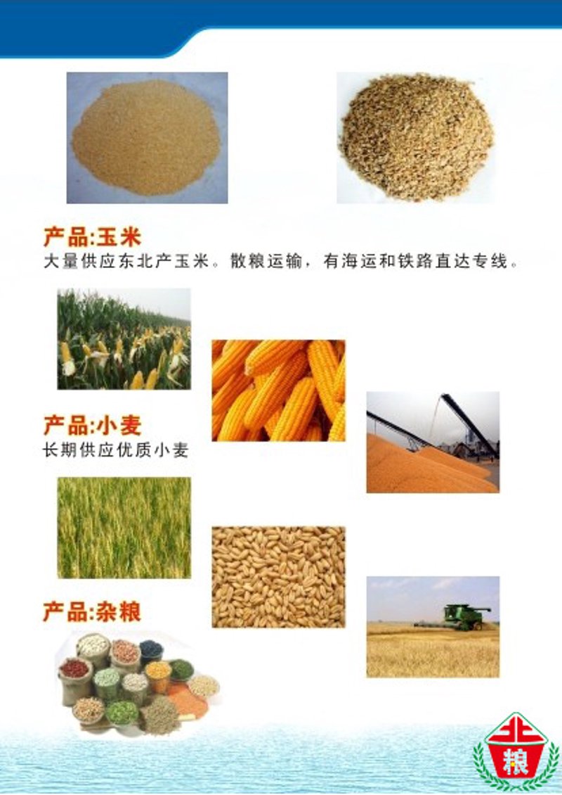 玉米价格波动，农民增收or减收？