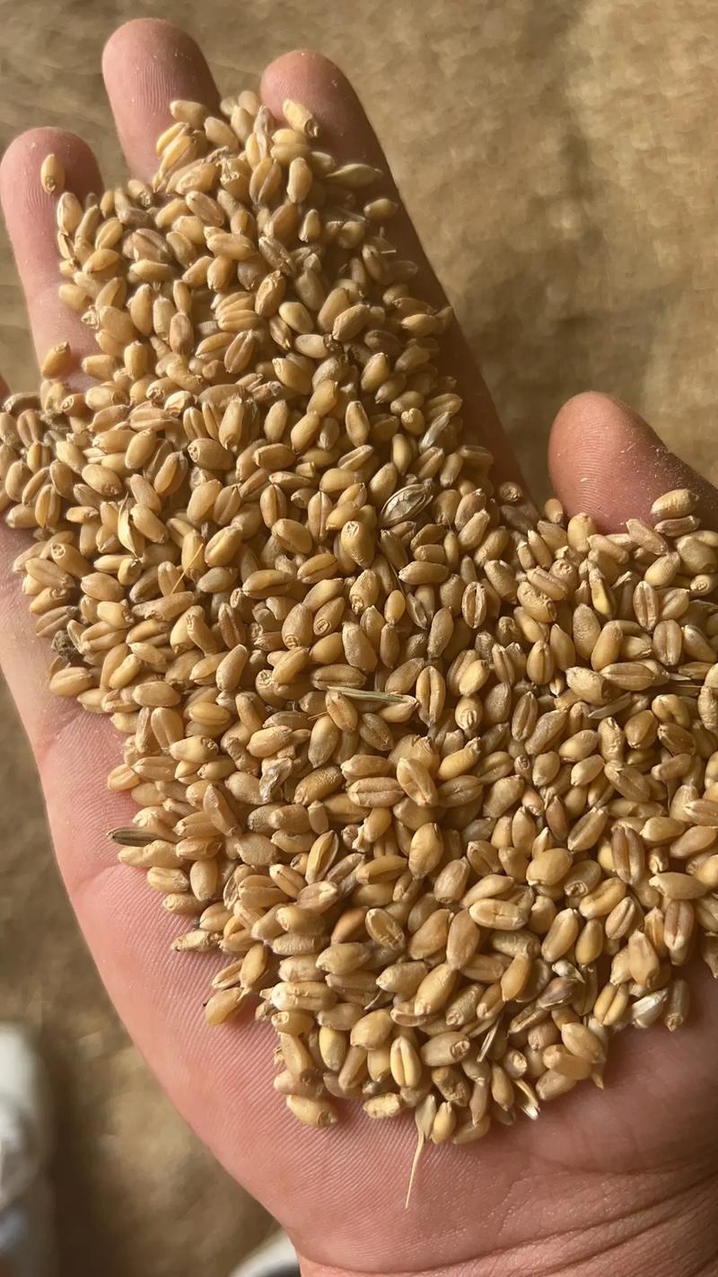 粮油批发行业的新趋势
