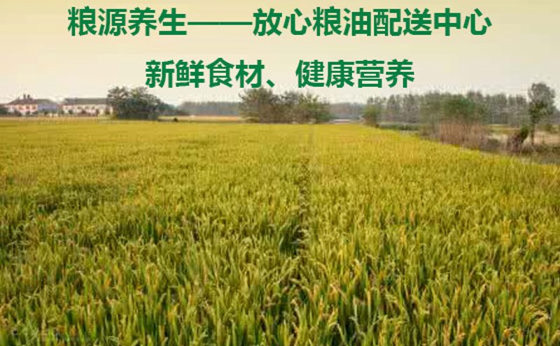 深圳首家,粮油送货到家!农产品、粮油、干货配送