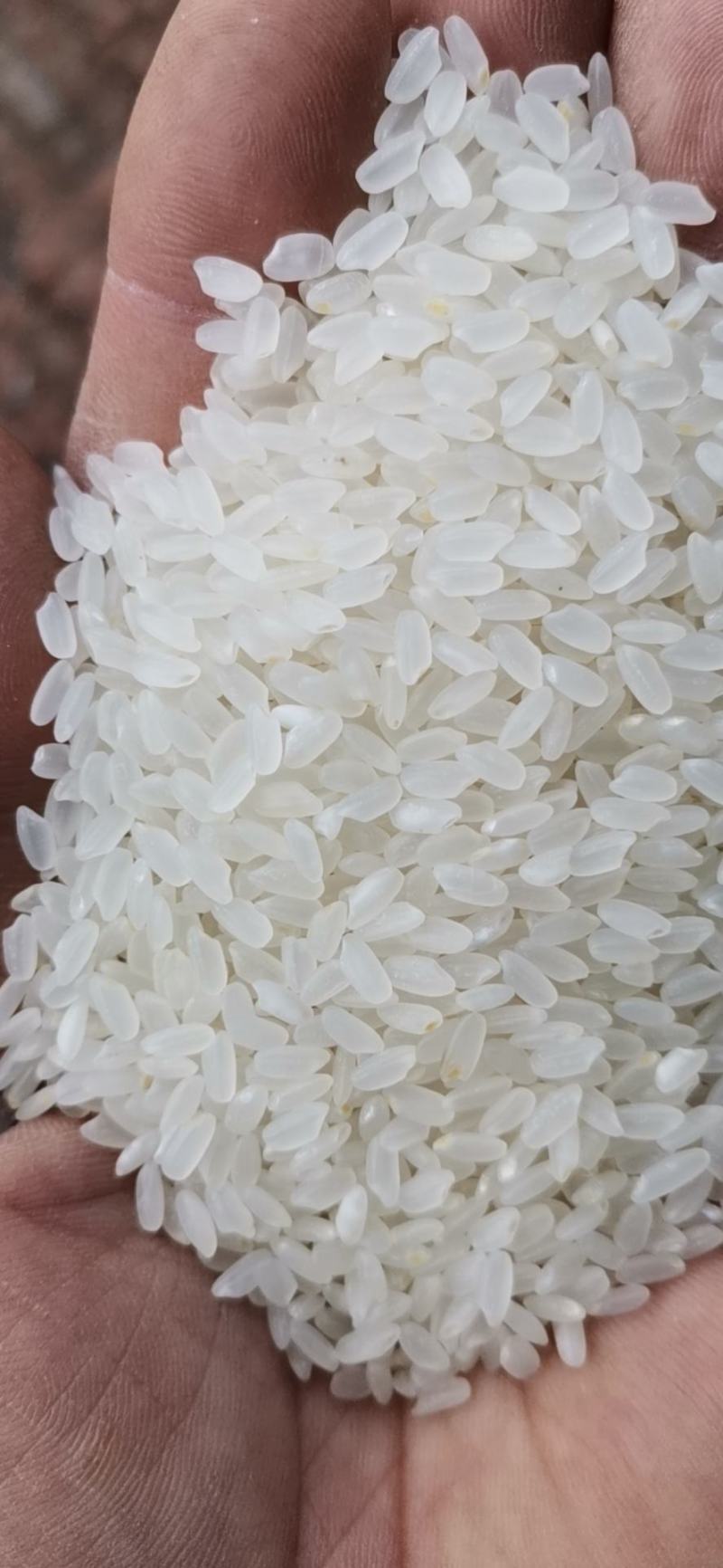 粮油批发行业的市场动态与机遇