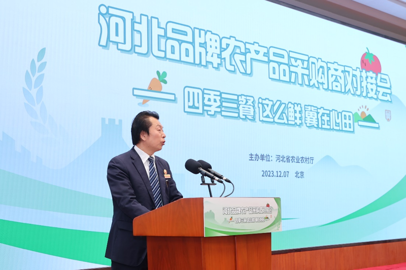 大米批发行业最新动态